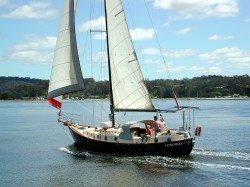 Longway between misadventures